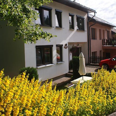 Апартаменты U Machacku - Lipno Липно-над-Влтавой Экстерьер фото