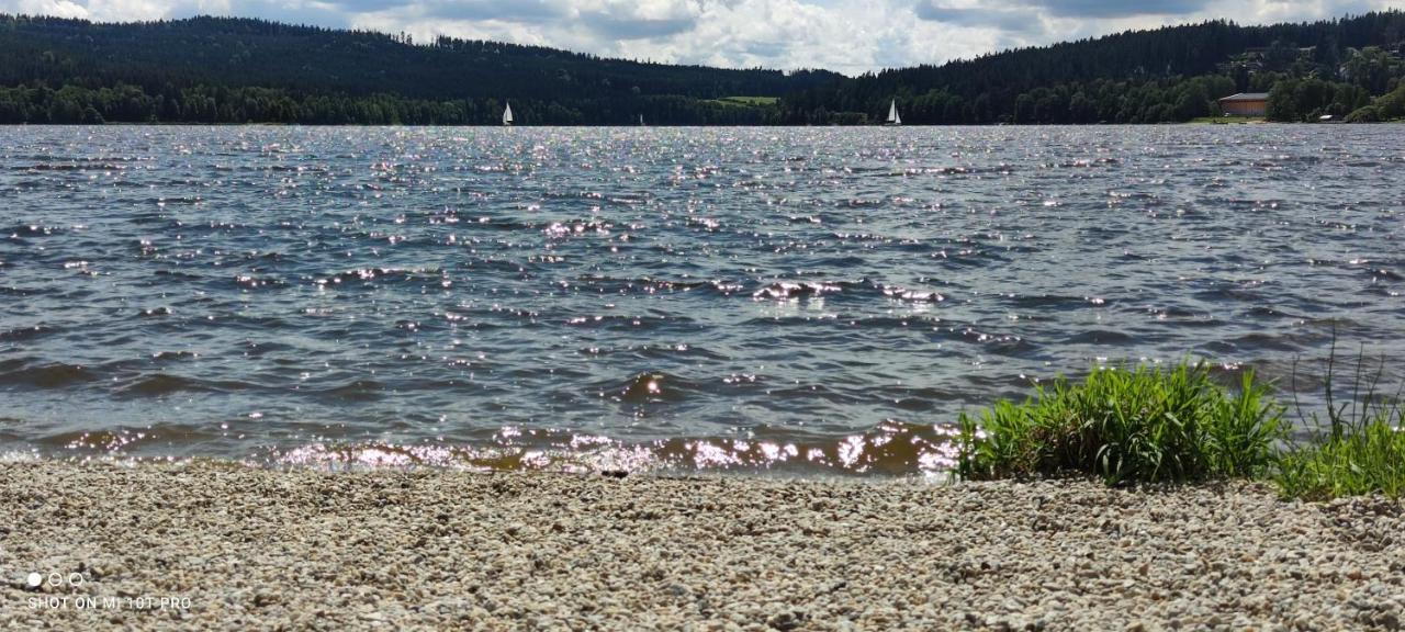 Апартаменты U Machacku - Lipno Липно-над-Влтавой Экстерьер фото