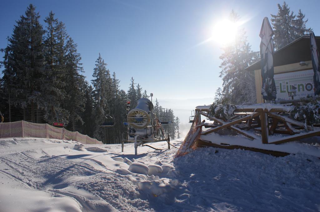 Апартаменты U Machacku - Lipno Липно-над-Влтавой Экстерьер фото