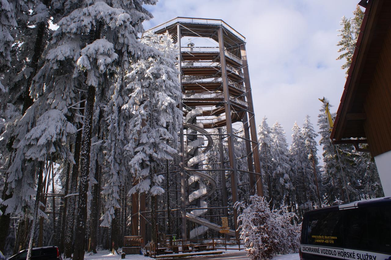 Апартаменты U Machacku - Lipno Липно-над-Влтавой Экстерьер фото