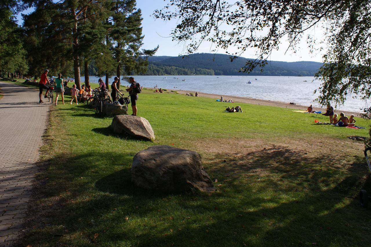 Апартаменты U Machacku - Lipno Липно-над-Влтавой Экстерьер фото