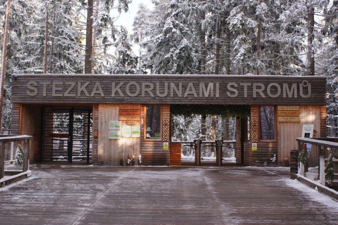 Апартаменты U Machacku - Lipno Липно-над-Влтавой Экстерьер фото